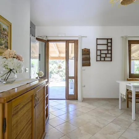 Foxi Lioni * 테르테니아