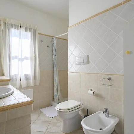 Foxi Lioni 테르테니아