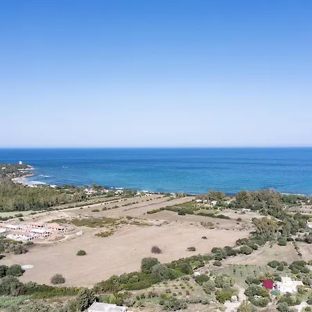 Foxi Lioni 테르테니아