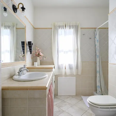 Foxi Lioni * 테르테니아