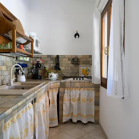 Foxi Lioni Tertenia