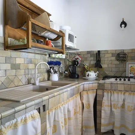 Foxi Lioni Tatil Evi *